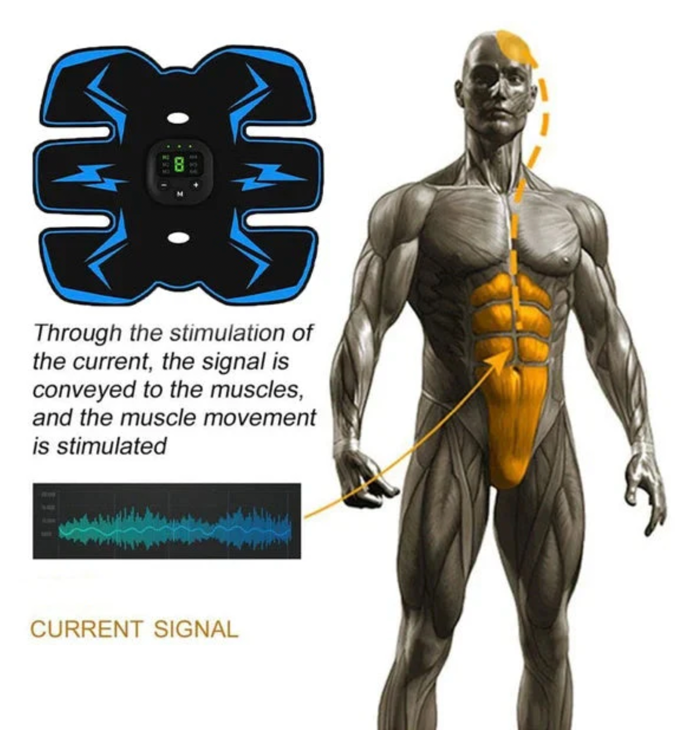 CoreFlex™ ABS Stimulator